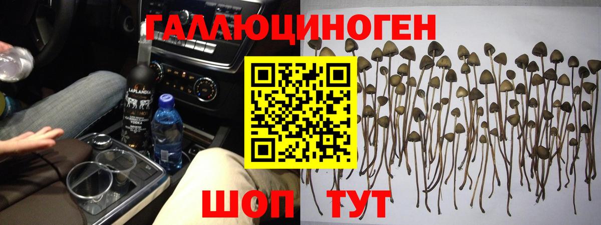 Шали  Галлюциногенные грибы мухоморы  Псилоцибиновые грибы MAGIC MUSHROOMS  Вход с VPN 